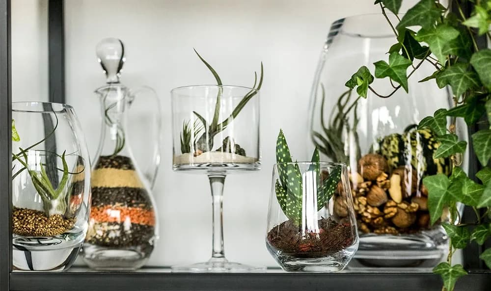 Jak ozdobić parapet w salonie - 10 inspirujących pomysłów na dekoracje