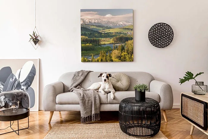 Jakie obrazy do salonu wybrać, by stworzyć wyjątkową atmosferę